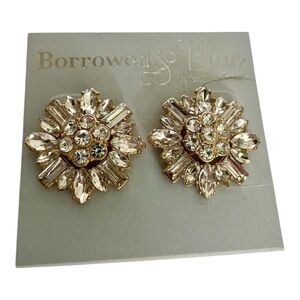 Borrowed and Blue Earrings by Southern Living, Large Clear Stones, Sparkling!